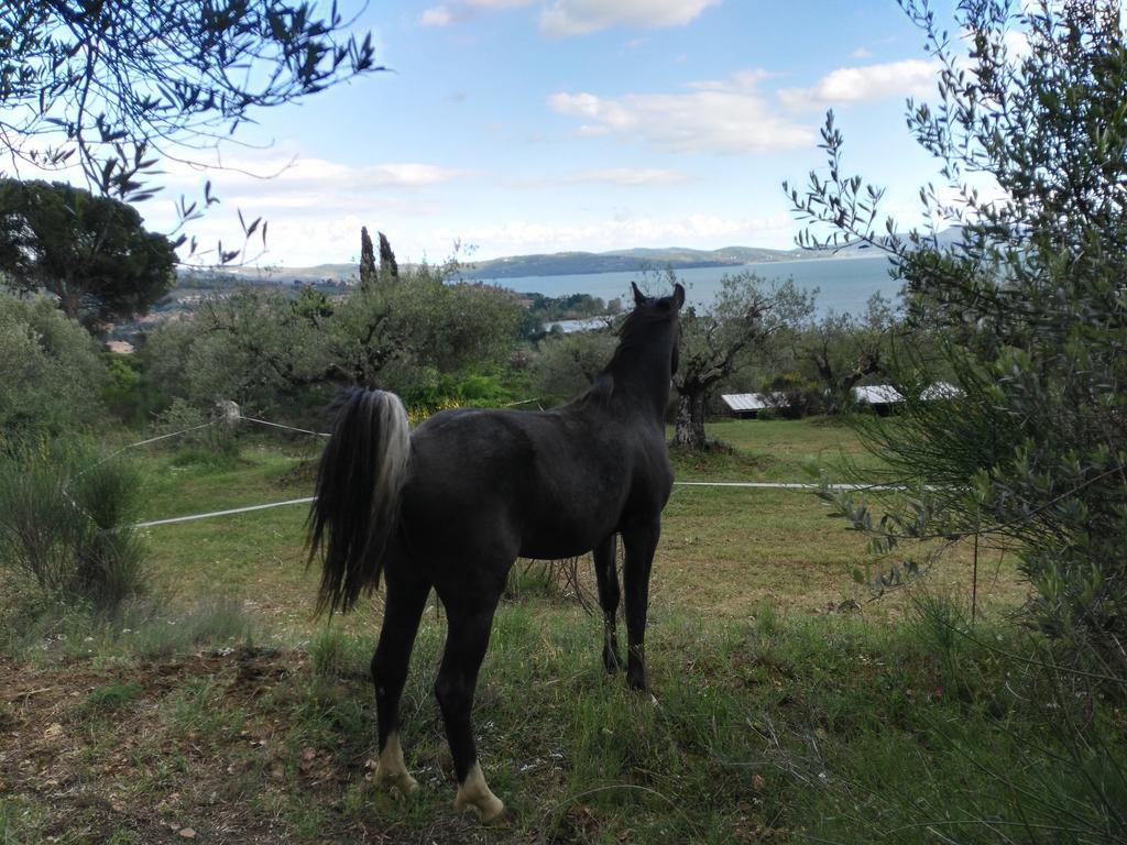 Antico Casale Tiravento Aparthotel Passignano sul Trasimeno Bagian luar foto